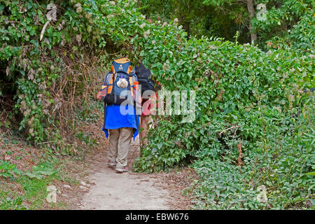 Zwei Pilger auf dem Weg von Pamplona nach Alto del Perd¾n, Spanien, Baskenland, Navarra Stockfoto