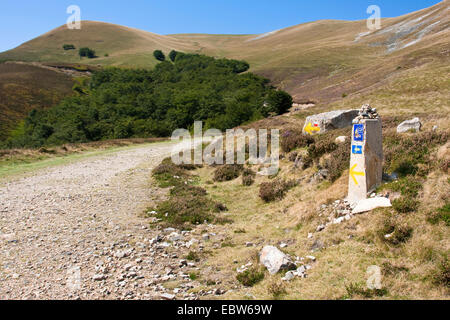 Wegweiser im Camino de Santiago zwischen St. Jean Pied-de-Port und Roncesvalles, Frankreich, PyrÚnnÚes-Atlantiques, Baskenland, Region Navarra Stockfoto