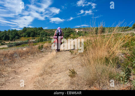 Pilger auf dem Weg nach Foncebad¾n, Spanien, Kastilien und Leon, Le¾n Stockfoto