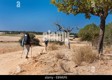 Zwei Pilger in trockenen Landschaft auf dem Jakobsweg zwischen Santibanez de Valdeigles und San Justo de la Vega, Spanien, Kastilien und Le¾n Stockfoto