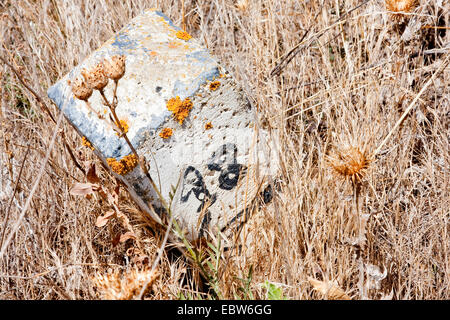 Alte kilometer Stein in das trockene Gras neben der Jakobsweg zwischen Calzada del Coto und Calzadilla de los Hermanillos, Spanien, Kastilien und Le¾n Stockfoto