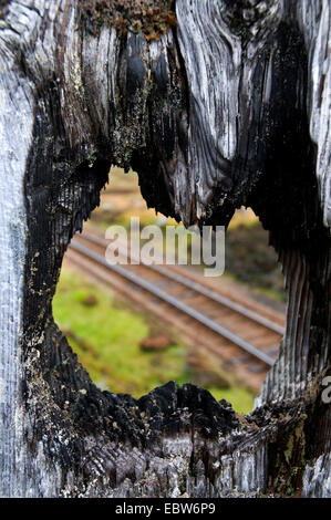 Eisenbahnstrecke durch ein Astloch sehen Stockfoto