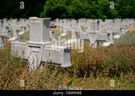 Soldatenfriedhof der polnischen Armee mit 2000 Soldaten Gräber, Polen, Westpommern, Siekierki Stockfoto