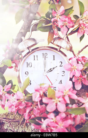 Setzen Sie Ihre Uhren im Frühjahr mit diesem skurrilen Bild einer Uhr umgeben von Frühlingsblumen auf 2 Uhr gesetzt! Extreme werden Stockfoto