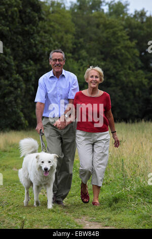 älteres paar Wandern mit Hund Stockfoto