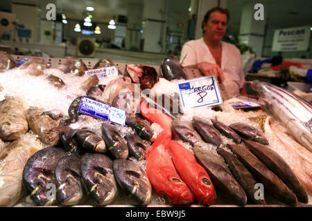 fangfrischen Fisch auf den Mercado de Nuestra Senora de Africa, Kanaren, Teneriffa, Santa Cruz De Tenerife Stockfoto