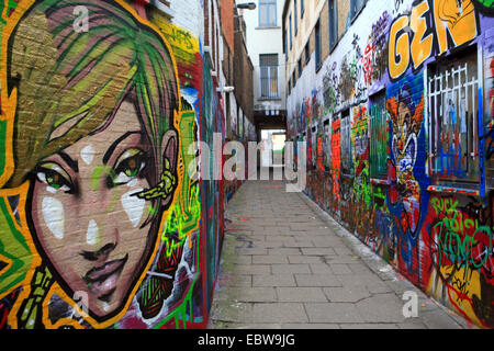 Gasse mit den Wänden voller Graffitis, Belgien, Gent, Ostflandern, Werregaaren Straat Stockfoto