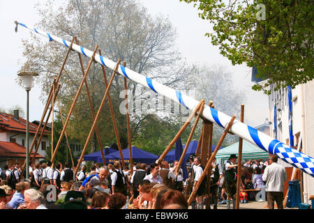 traditionelle oder ein Maibaum, Deutschland, Bayern, Bad Aibling Stockfoto