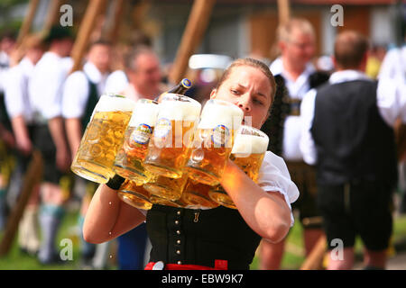 Kellnerin tragen viele Bierkrüge auf der traditionellen Tötungsanlagen ein Maibaum, Deutschland, Bayern, bereit, Bad Aibling Stockfoto