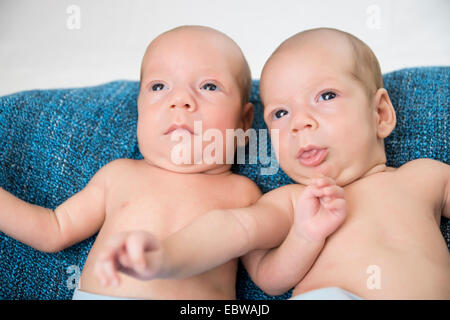 Baby Zwillinge Stockfoto