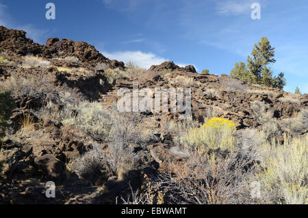 Lava-Bett-Nationalpark, Kalifornien, USA Stockfoto