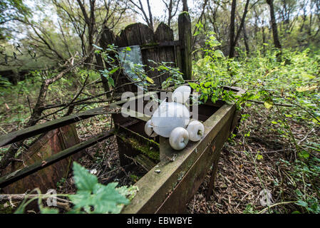 Kunststoff-Spielzeug vor alten Holzhaus in Wüstung Stechanka, Sperrzone von Tschernobyl, Ukraine Stockfoto