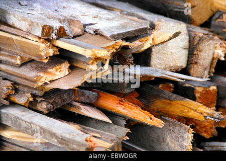 Frisch geschnitten Brennholz für den Winter Stockfoto