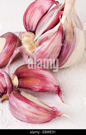 Frischem rohem Knoblauch Birne mit losen Nelken mit einer Knoblauchzehe längs durchschneiden, die Textur auf einem weißen Hintergrund zu zeigen Stockfoto