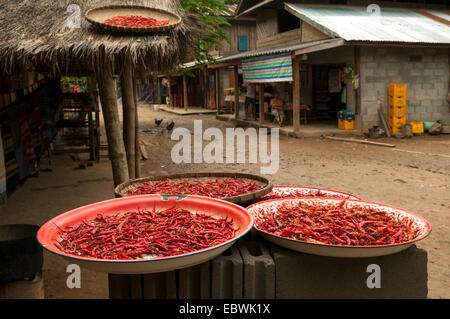 Trocknen von Chilis in Ban Muangkeo, Laos Stockfoto