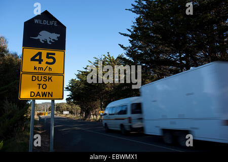 Roadsign in der Nähe von Dunalley, Tasmanien, gefährdet Warnung Autofahrer zu kümmern in der Nacht, wegen Tasmanische Teufel beim Überqueren der Straße. Stockfoto