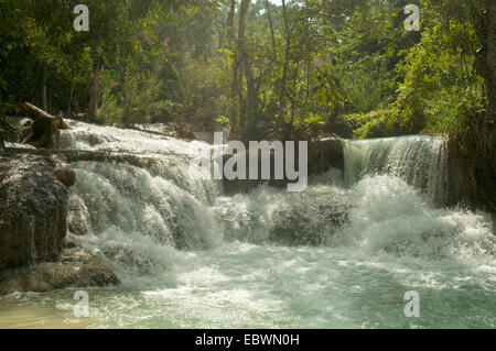 Wasserfälle bei Kuang Si, Laos Stockfoto