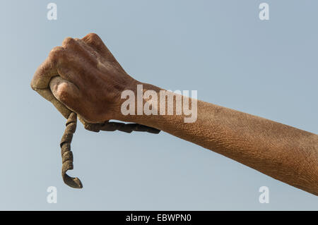 Verkrüppelte Hand ein Shiva Sadhu von Juna Akhara, heiliger Mann, üben Urdha Tapa, heben einen Arm seit vielen Jahren für geistige Stockfoto