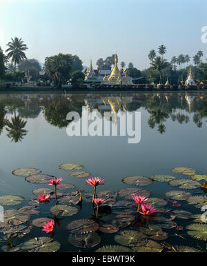 Chedis Wat Chong Kham und Wat Chong Klang spiegelt sich in Nong Jong Kham See, Lotusblüten, Lotus-Teich, Mae Hong Son Stockfoto