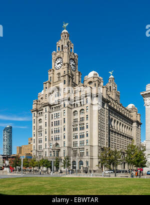 Royal Liver Building, UNESCO-Welterbe Site Liverpool Mercantile Seestadt, Liverpool, Merseyside, England Stockfoto
