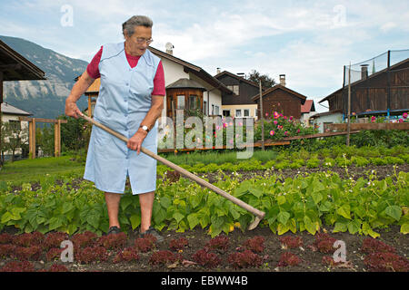 Landwirt arbeiten auf dem Bauernhof, Gemüsebeet, Bauernhof der Familie Kreutner, Jäten, Bezirk Schwaz, Tirol-Familie Stockfoto