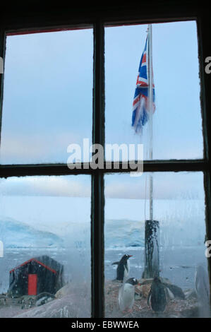 Blick aus dem Fenster Festungstürmen Research Station, Antarktis, Port Lockroy Stockfoto