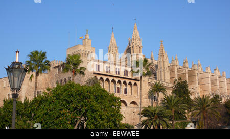 Kathedrale von Palma und Palast von Almudaina, Spanien, Balearen, Mallorca, Palma Stockfoto