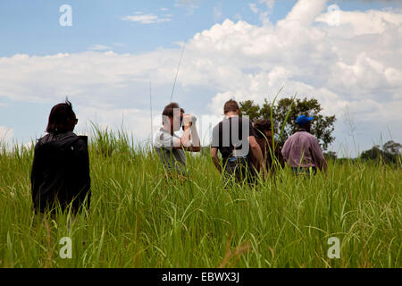 Reisegruppe zu Fuß durch hohen Rasen in die National Parc De La Ruvubu im Osten des Landes, Burundi, Cankuzo, National Parc De La Ruvubu, Cankuzo Stockfoto