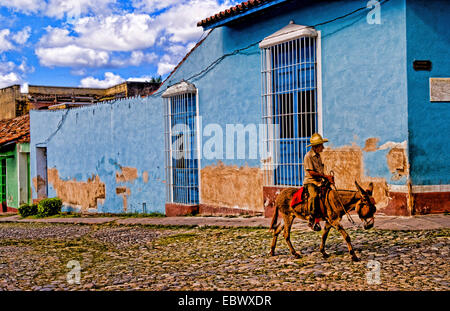 Alter Mann mit seinem Esel für Fahrten auf Straßen des alten Dorfes, Kuba, Trinidad Stockfoto