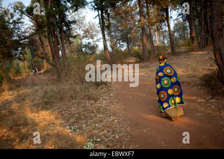 alte Frau in traditioneller Kleidung auf den Markt zu Fuß auf staubigen Pfad durch den Wald, Burundi, Karuzi, Buhiga Stockfoto