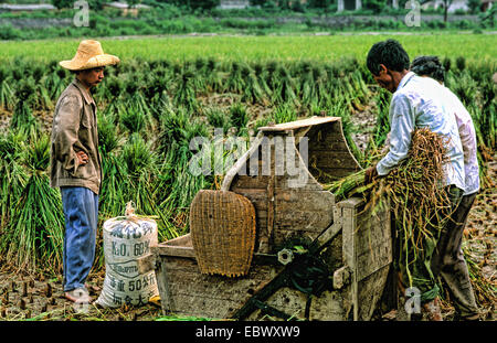 Landwirte in Guilin China mit Treshing Reis Maschine, China Stockfoto