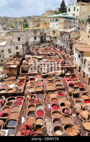 Gerber und Färber Viertel Chouwara, Marokko, Fes Stockfoto