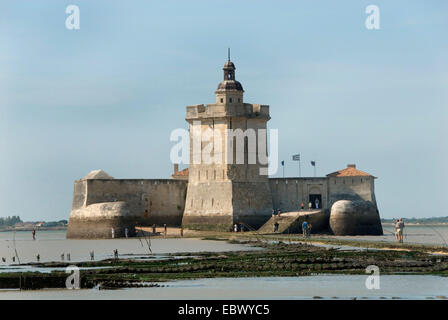 Austern (Ostreidae), Oyster Bed an Fort Louvois, Frankreich, Poitou Vend e Stockfoto