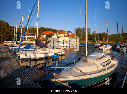 Bootssteg mit vielen Segelbooten am See Moehne in Abendsonne, Moehnesee, Sauerland, Nordrhein-Westfalen, Deutschland Stockfoto