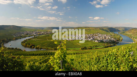 Deutschland, Rheinland-Pfalz, Trittenheim Mosel River band Stockfoto