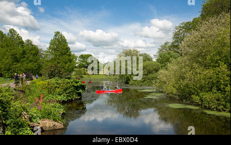 Familie in hellen roten Kanu paddeln auf ruhigen blauen Wasser des Sees inmitten der grünen Vegetation National Botanic Gardens in Wales Stockfoto