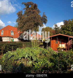 ehemaligen residental Zone der Bergleute, Gelsenkirchen, Ruhrgebiet, Nordrhein-Westfalen, Deutschland Stockfoto