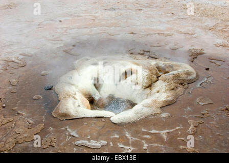 Geysir in der Nähe Straße Kjalvegur 35, Island Stockfoto