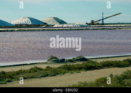 Meer Salzproduktion in den Salinen von Salins du Midi, Frankreich, Aigues-Mortes, Camargue Stockfoto