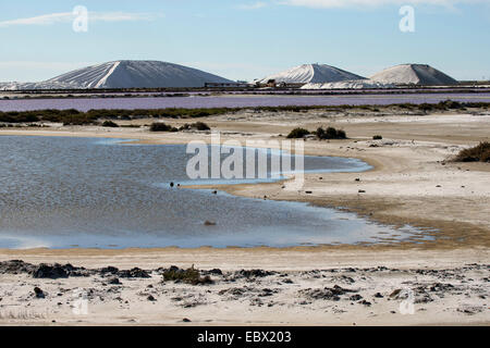 Meer Salzproduktion in den Salinen von Salins du Midi, Frankreich, Aigues-Mortes, Camargue Stockfoto