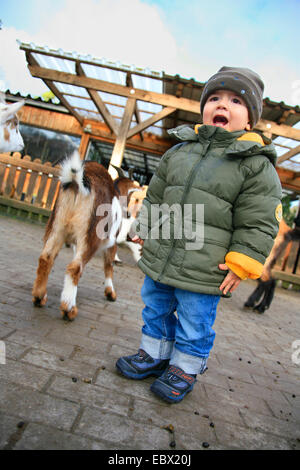 kleine Junge hat eine Menge Spaß in einem Streichelzoo Stockfoto