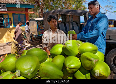 Kokos-Stand auf einem Markt, Indien, Andaman Inseln Stockfoto