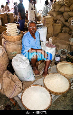 Reis-Händler auf dem Gemüsemarkt in Diglipur, Indien, Andamanen, North Andaman Stockfoto