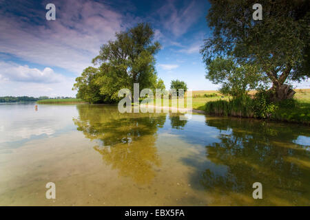 See Roeddelin in der Nähe von Templin, Deutschland, Brandenburg, Vogtlaendische Schweiz Stockfoto