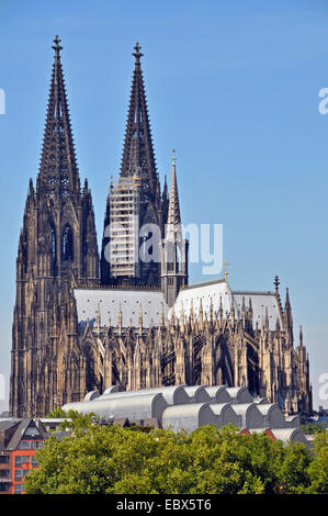 Köln Kathedral mit Ludwig Museum, Deutschland, Nordrhein-Westfalen, Köln Stockfoto