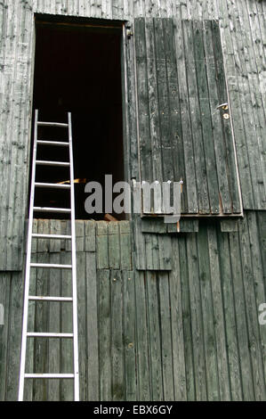 Leiter an der Wand einer Scheune Stockfoto