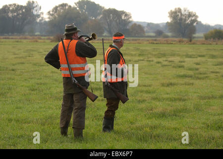 zwei Jäger stehen und warten auf einer Wiese während einer Treibjagd im Oktober, weht eine ein Jagdhorn, Deutschland Stockfoto