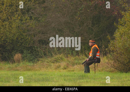 Shooter-sitzen und warten auf einen Stuhl in einer Wiese bei einer Treibjagd im Oktober, Deutschland Stockfoto