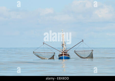 Fräser Krabbenfischerei in der Nordsee, Deutschland, Schleswig-Holstein Stockfoto