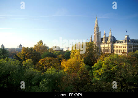 Wiener Rathaus an Nacht, Österreich, Wien Stockfoto